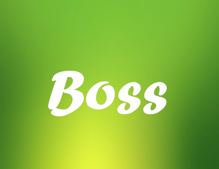 Bildern mit Namen Boss