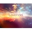 Woge der Gefhle: Avatar fr Lavendel
