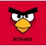 Bilder von Angry Birds namens Berhard
