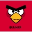 Bilder von Angry Birds namens Gunnar