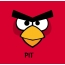 Bilder von Angry Birds namens Pit
