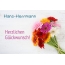 Blumen zum geburtstag fr Hans-Herrmann