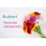 Blumen zum geburtstag fr Rudibert