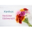 Blumen zum geburtstag fr Xanthos