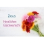 Blumen zum geburtstag fr Zeus