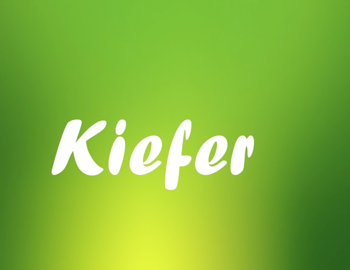 Bildern mit Namen Kiefer