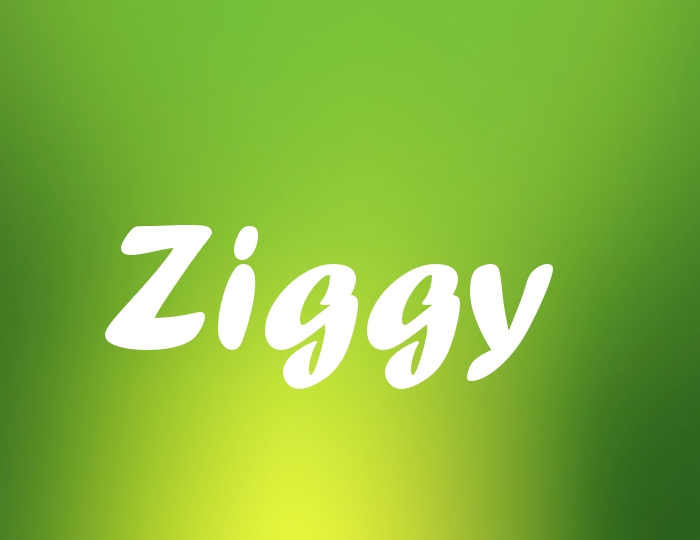 Bildern mit Namen Ziggy