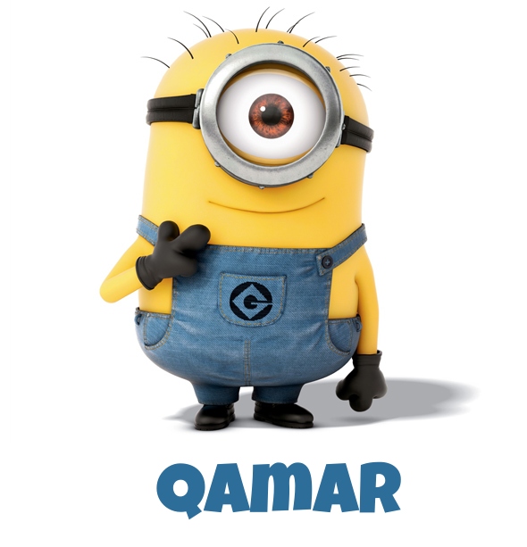 Avatar mit dem Bild eines Minions fr Qamar