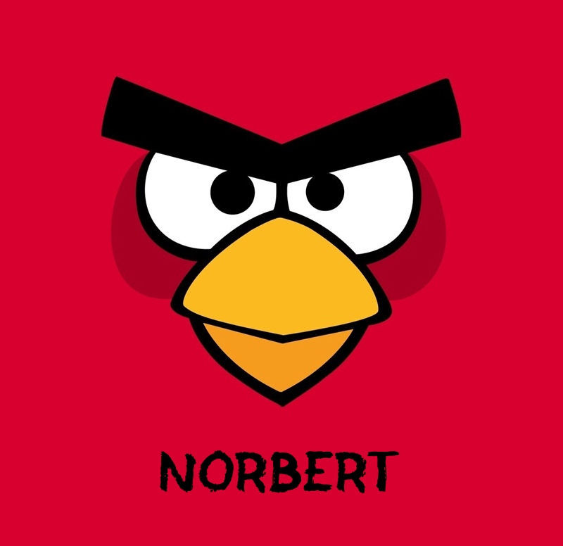 Bilder von Angry Birds namens Norbert.