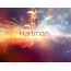 Woge der Gefühle: Avatar für Hartman