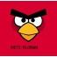 Bilder von Angry Birds namens Fiete-Florian