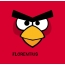 Bilder von Angry Birds namens Florentius