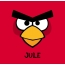 Bilder von Angry Birds namens Jule